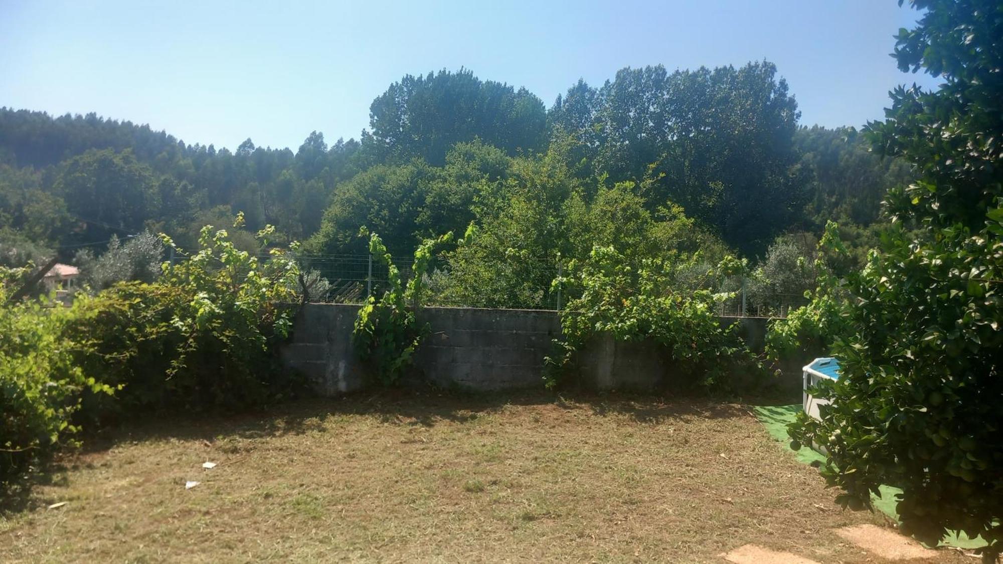 Cantinho Da Aldeia *